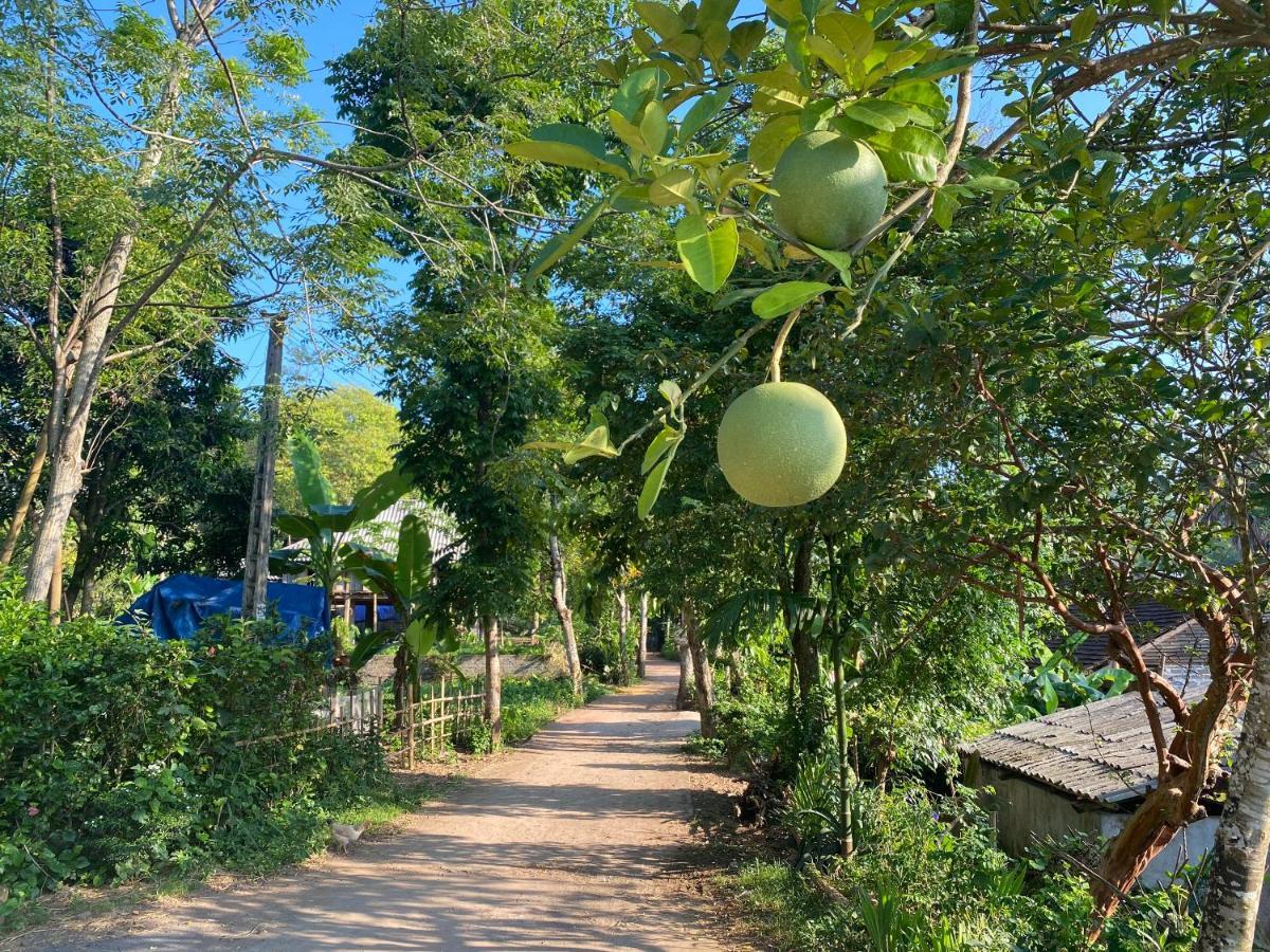 Muong Bi Homestay Hòa Bình Esterno foto