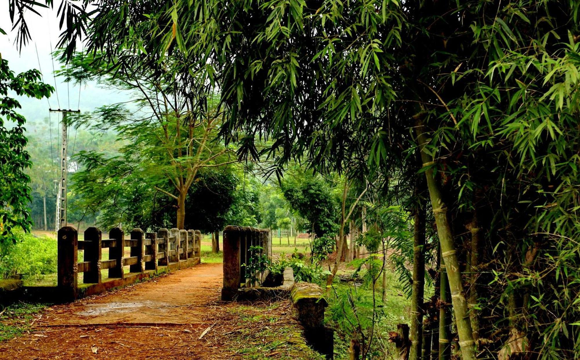 Muong Bi Homestay Hòa Bình Esterno foto