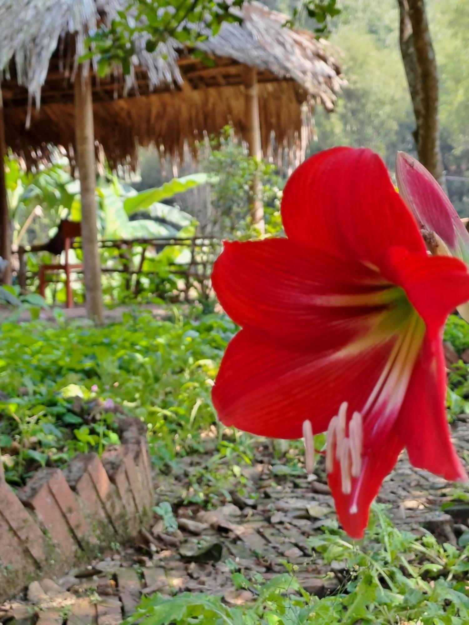 Muong Bi Homestay Hòa Bình Esterno foto