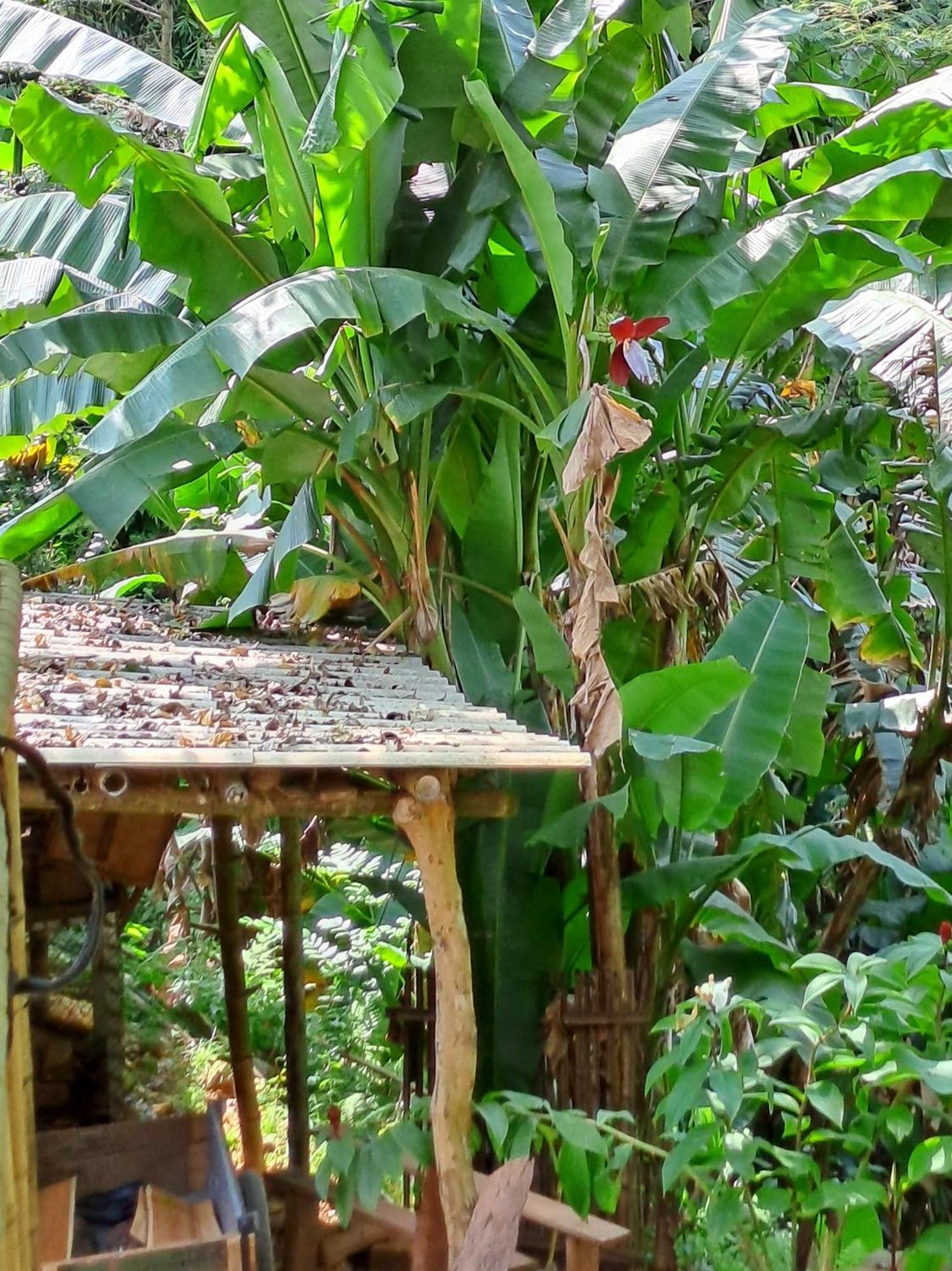 Muong Bi Homestay Hòa Bình Esterno foto