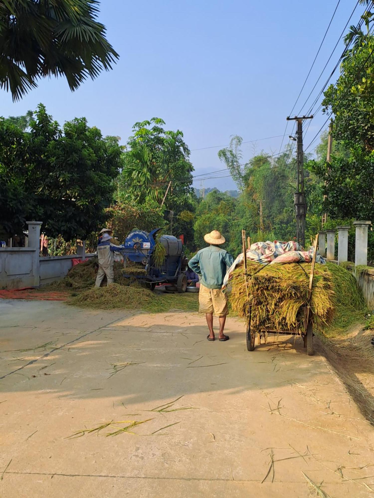 Muong Bi Homestay Hòa Bình Esterno foto