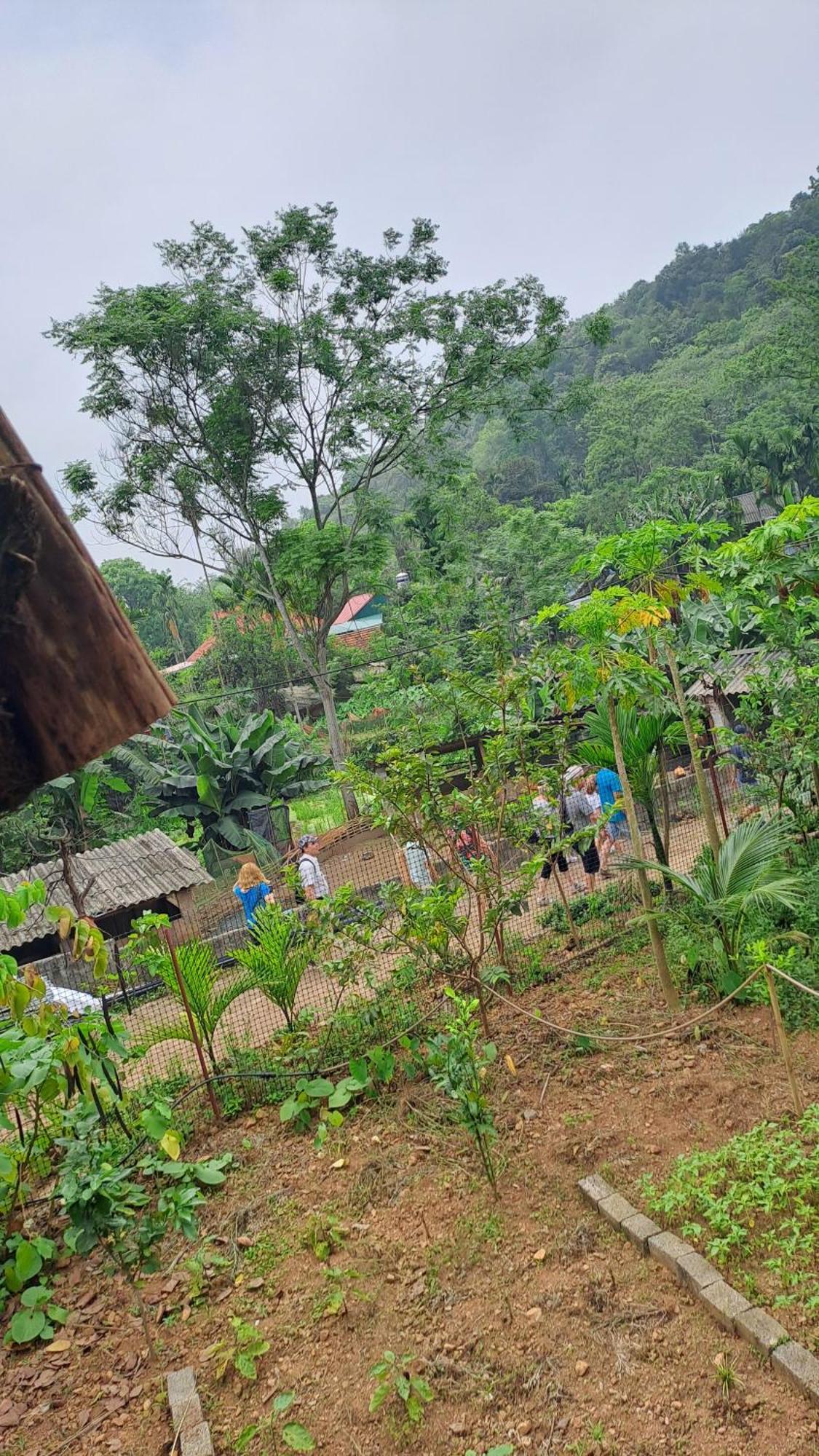 Muong Bi Homestay Hòa Bình Esterno foto
