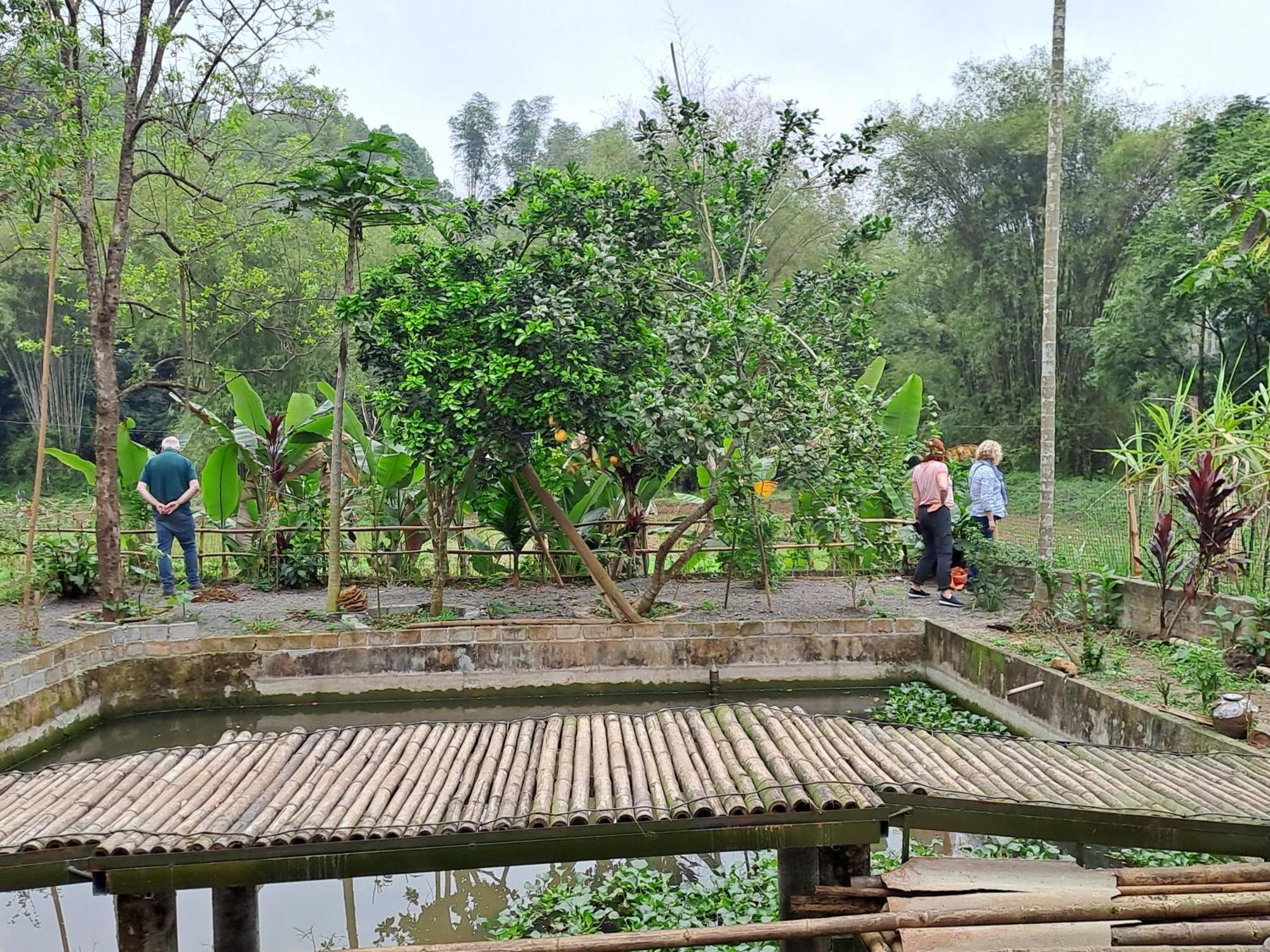 Muong Bi Homestay Hòa Bình Esterno foto